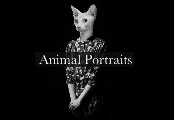 Animal portraits