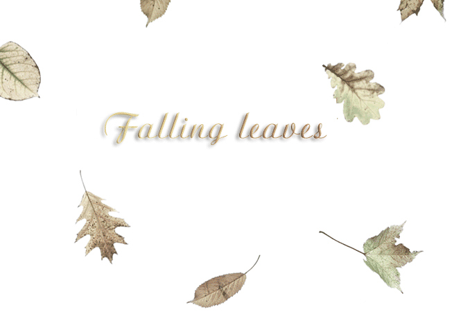 Falling leaves