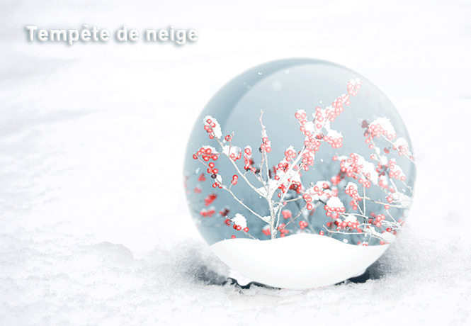 Tempête de neige