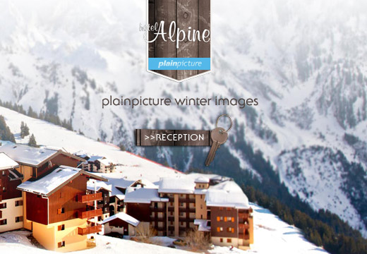 Hotel Alpine