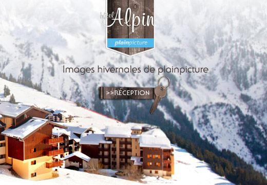 Hôtel Alpin