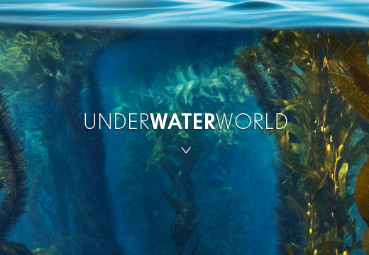 Underwaterworld