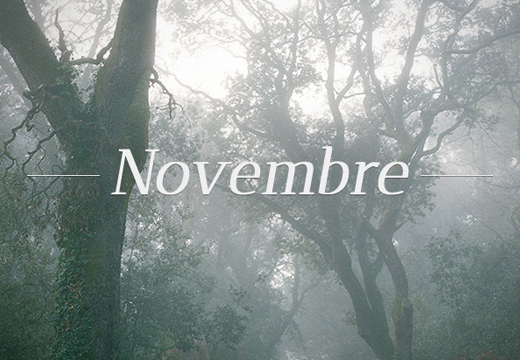 Novembre