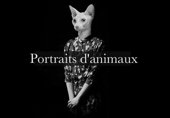 Portraits d'animaux