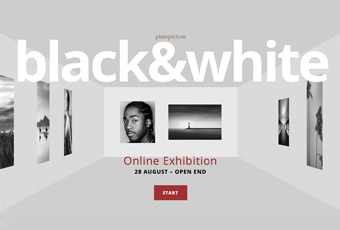 Online exhibition